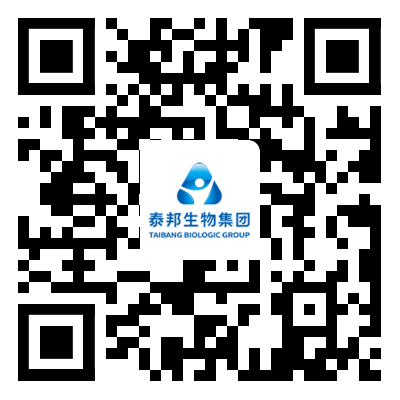 GA黄金甲·(中国区)官方网站