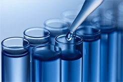 GA黄金甲·(中国区)官方网站