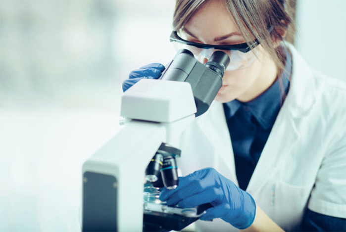 GA黄金甲·(中国区)官方网站