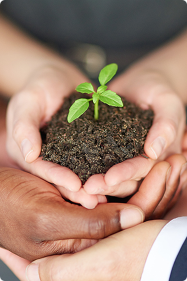 GA黄金甲·(中国区)官方网站