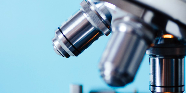 GA黄金甲·(中国区)官方网站