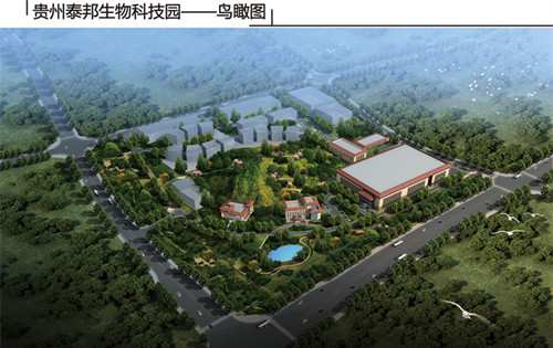 GA黄金甲·(中国区)官方网站