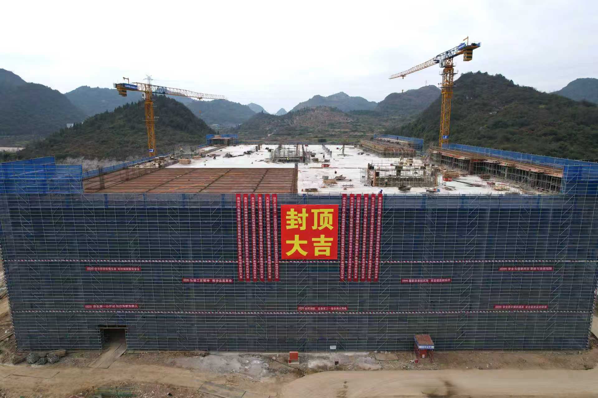 GA黄金甲·(中国区)官方网站